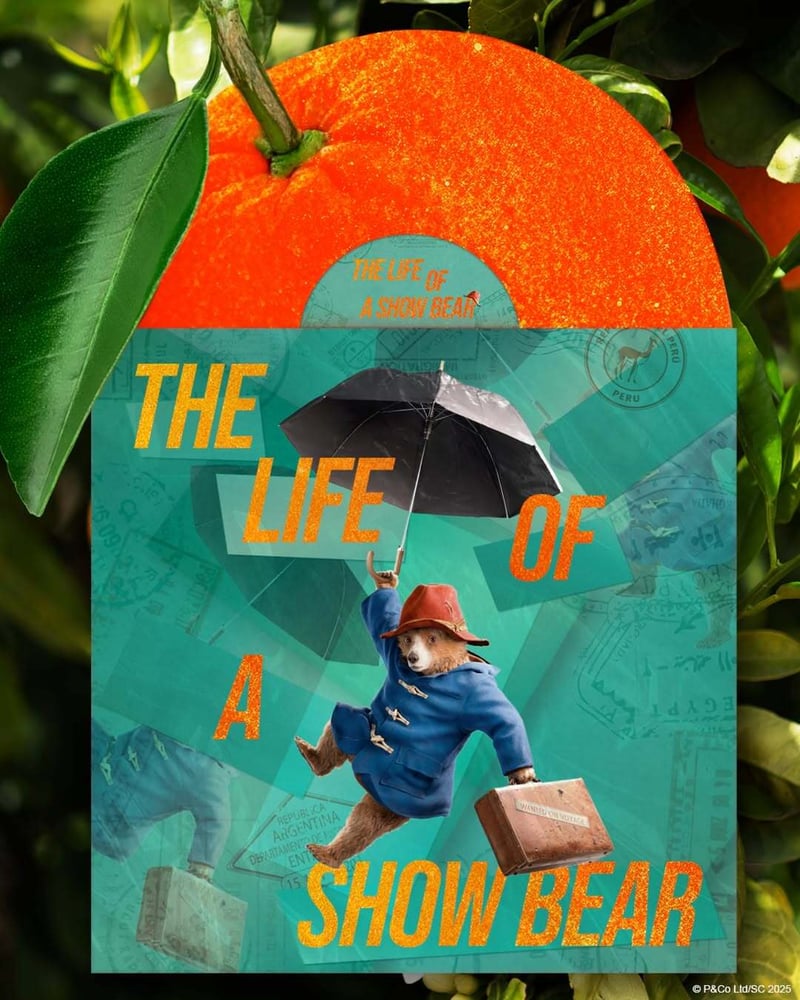 Paddington Bear holding an umbrella and a suitcase floating, with sparkly orange text 'The Life of a Show Bear.'