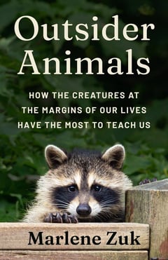 Book cover for Outsider Animals- How the Creatures at the Margins of Our Lives Have the Most to Teach Us by Marlene Zuk