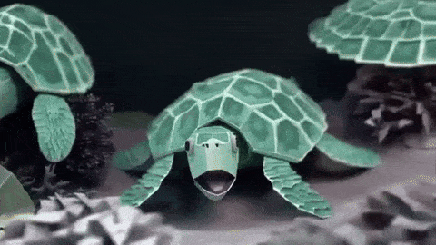 OpenAI generated Turtle Video