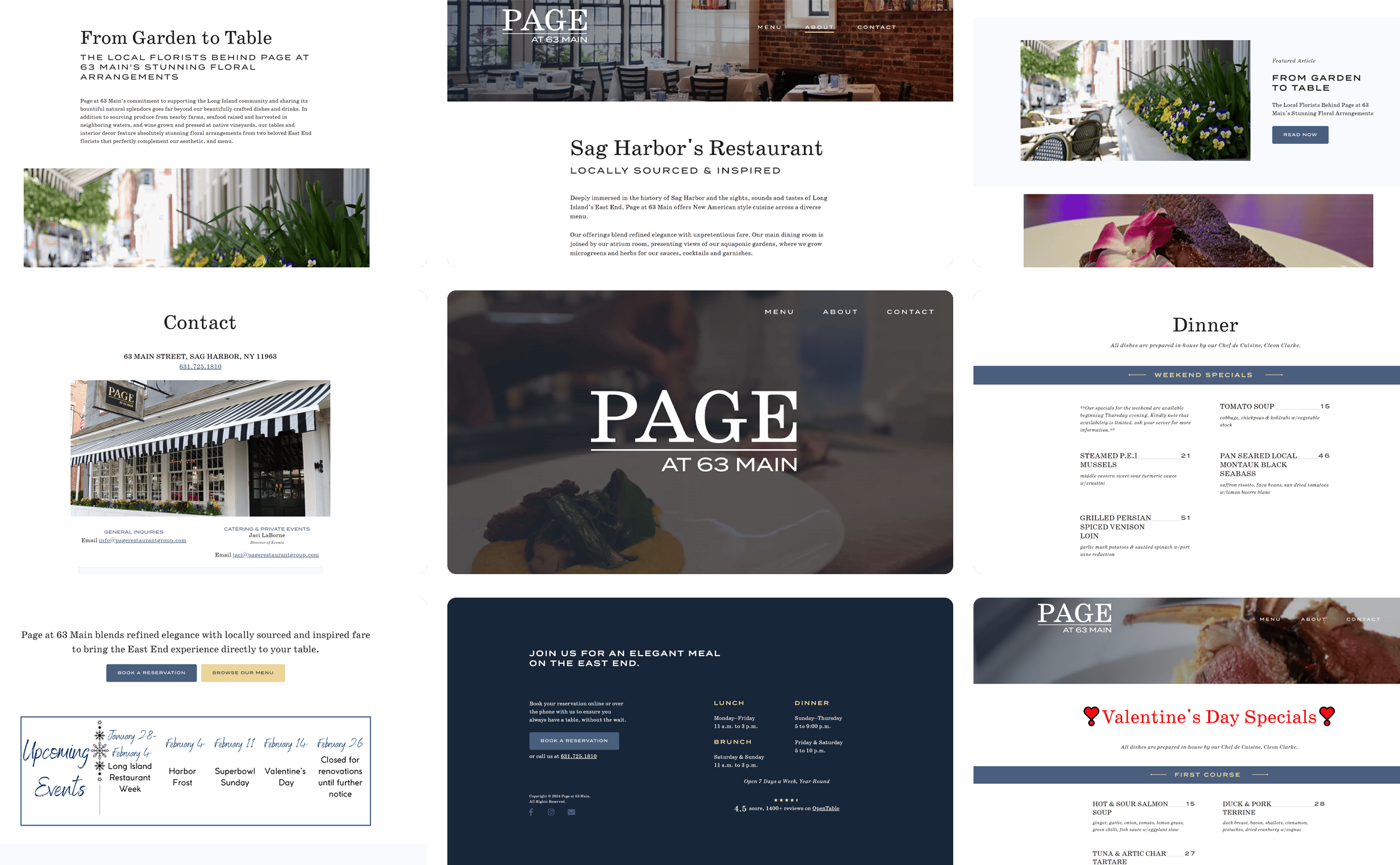 various screenshots of images from Page at 63 Main website